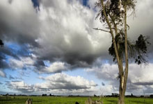 九游登录入口-曼联客场挑战托特纳姆，争夺宝贵三分